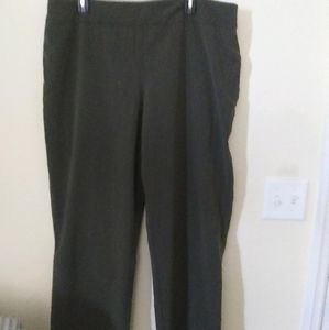 Dress barn pants